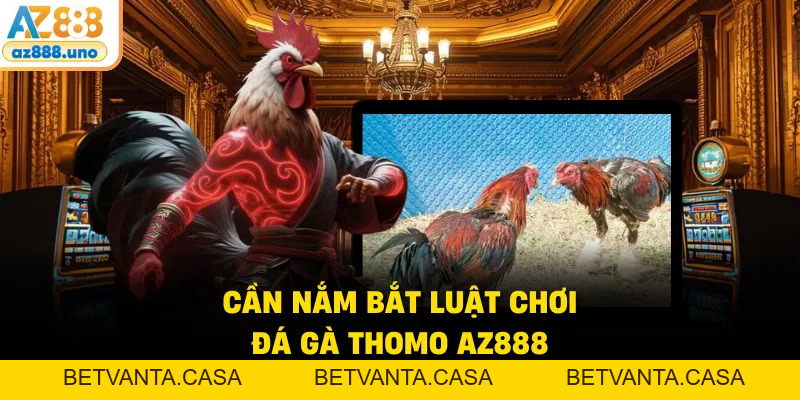 Đá Gà Thomo AZ888 – Chi Tiết Luật Chơi Và Cơ Chế Trả Thưởng - BETVANTA