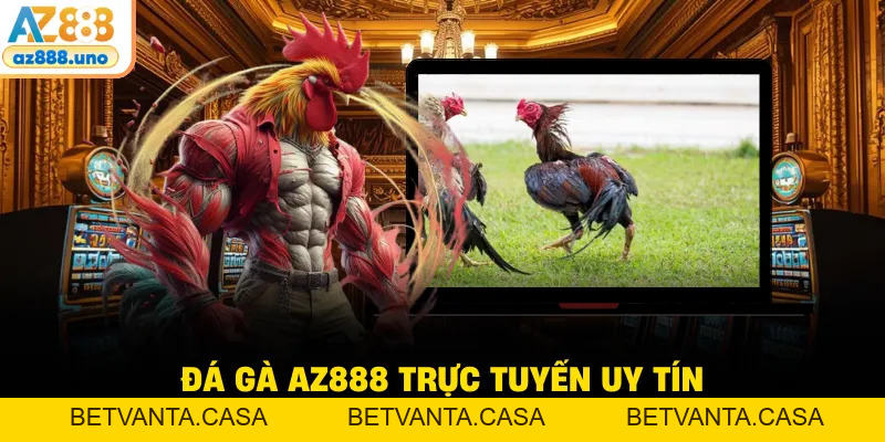Đá Gà AZ888 – Sân Chơi Online Được Kê Thủ Tin Chọn - BETVANTA