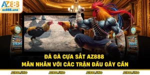 Đá Gà AZ888 – Sân Chơi Online Được Kê Thủ Tin Chọn - BETVANTA