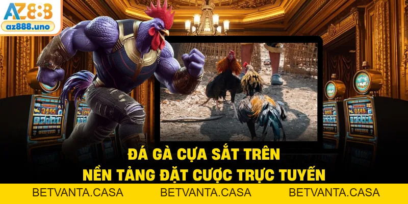 Đá Gà Cựa Sắt AZ888 – Mãn Nhãn Với Các Trận Đấu Gây Cấn - BETVANTA