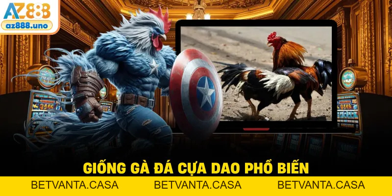 Đá Gà Cựa Dao AZ888 – Giải Trí Tốc Độ Cao Kịch Tính - BETVANTA