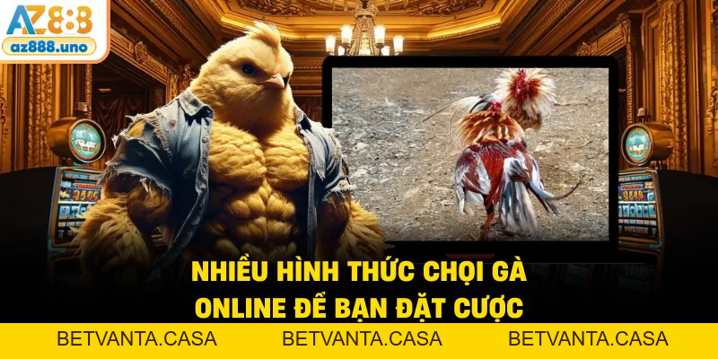 Đá Gà AZ888 – Sân Chơi Online Được Kê Thủ Tin Chọn - BETVANTA