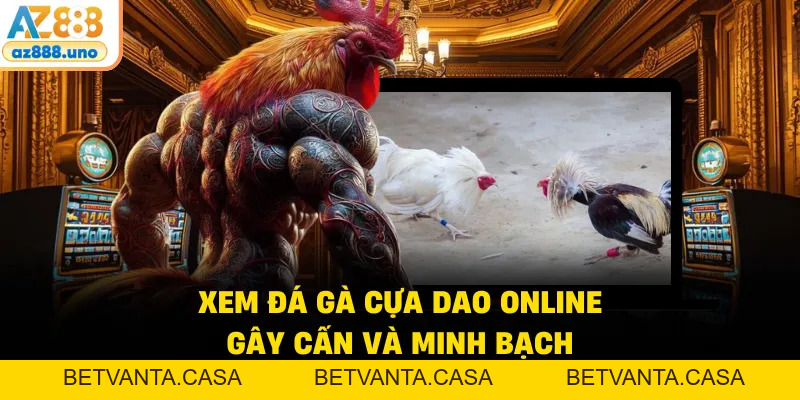 Đá Gà Cựa Dao AZ888 – Giải Trí Tốc Độ Cao Kịch Tính - BETVANTA